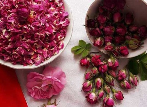 تصویر 3 از قیمت گل محمدی خشک شده + فروش ویژه